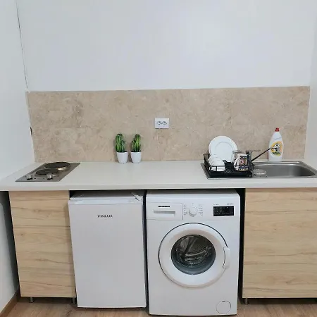 Piata Victoriei Arcul De Triumf Studio Apartment