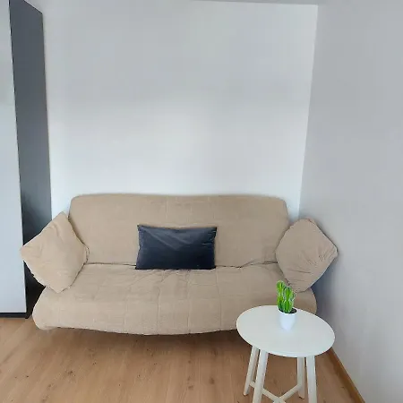 Piata Victoriei Arcul De Triumf Studio Apartment